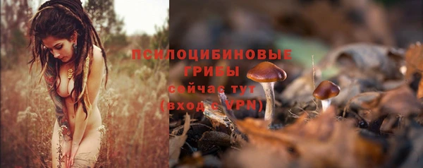 apvp Арсеньев