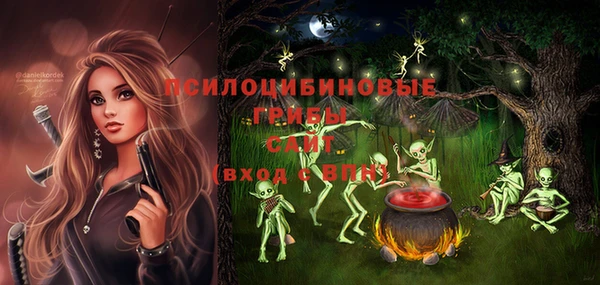 PSILOCYBIN Армянск