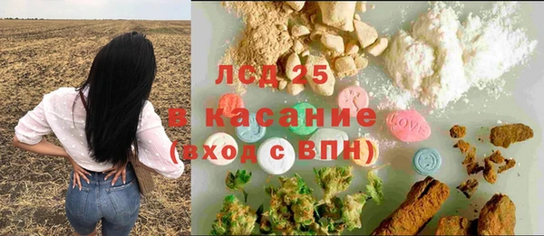 PSILOCYBIN Армянск