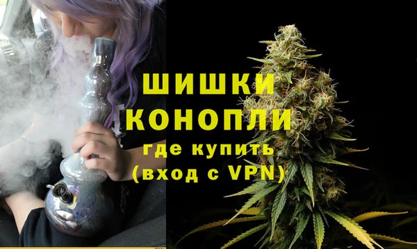 PSILOCYBIN Армянск