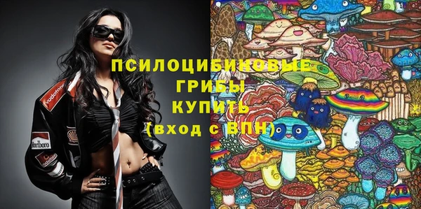 PSILOCYBIN Армянск