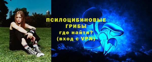 apvp Алзамай