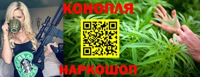 круглые Кингисепп