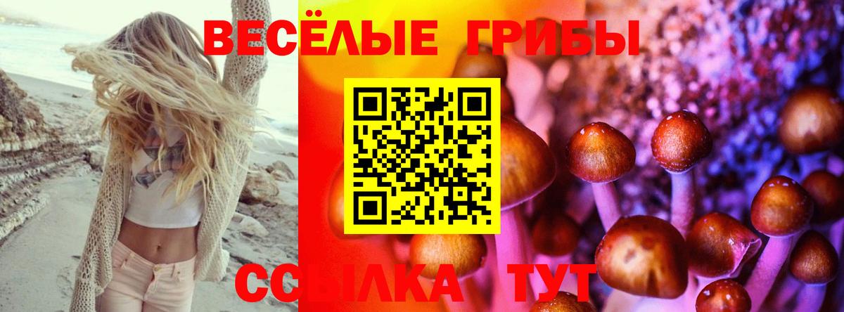 Кирово-Чепецк  Галлюциногенные грибы Psilocybine cubensis  Вход с VPN  Галлюциногенные грибы прущие грибы 
